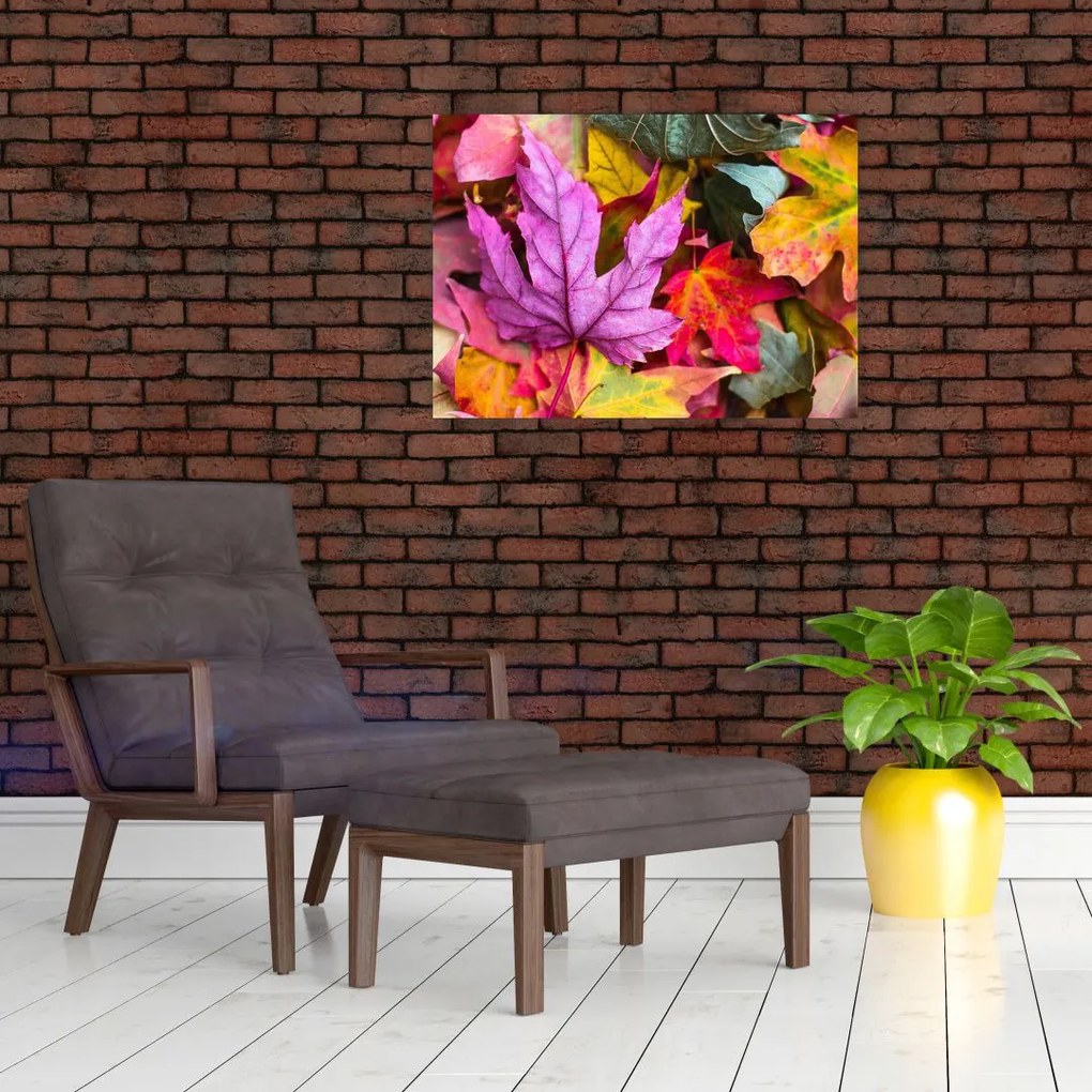 Obraz - jesienne liście (70x50 cm)