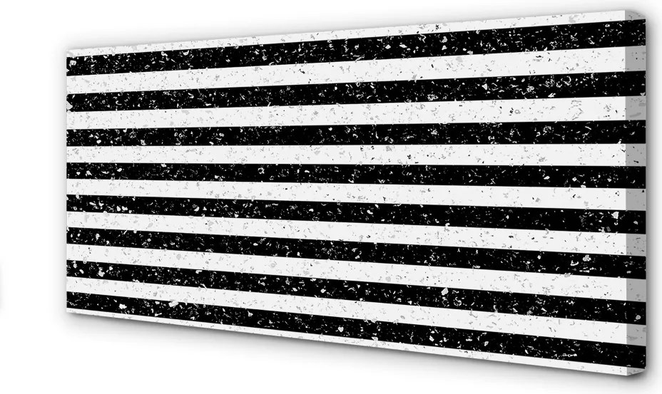 Obraz na płótnie Hybryda: Plamy i Zebra