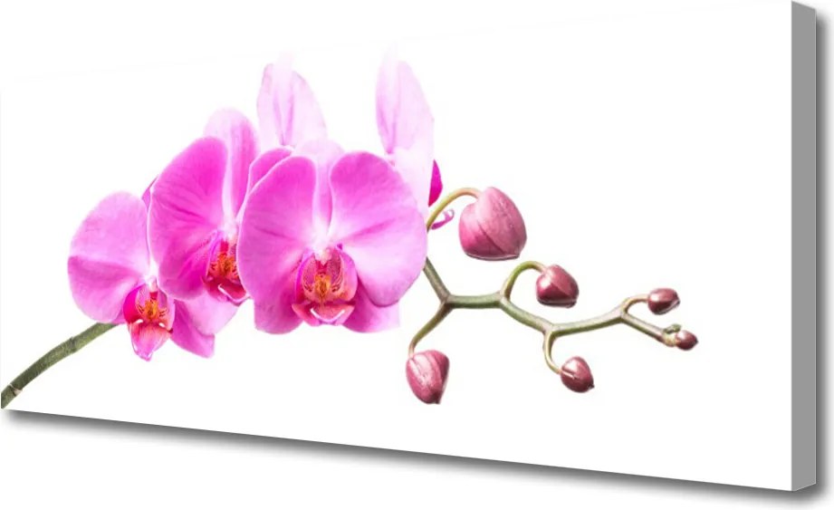 Obraz canvas Harmonijny Bukiet Ścienny