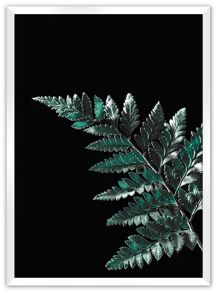 Plakat Dark Fern Leaf