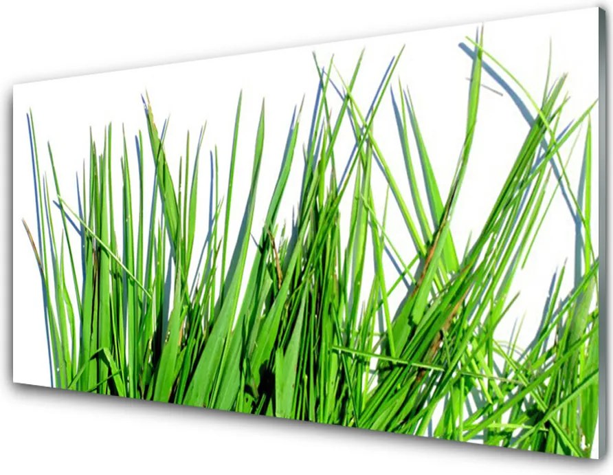 Panel Kuchenny Naturalny Motyw Trawy