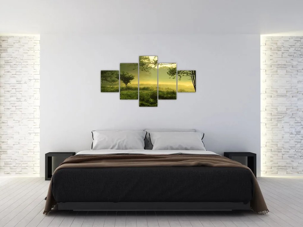 Obraz - Budzący się las (125x70 cm)