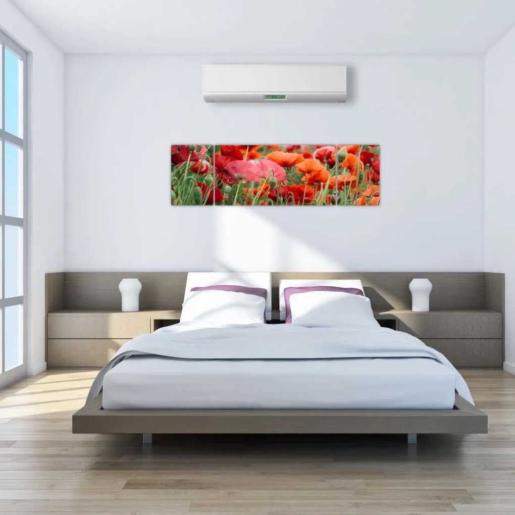 Obraz pola maków (170x50 cm)