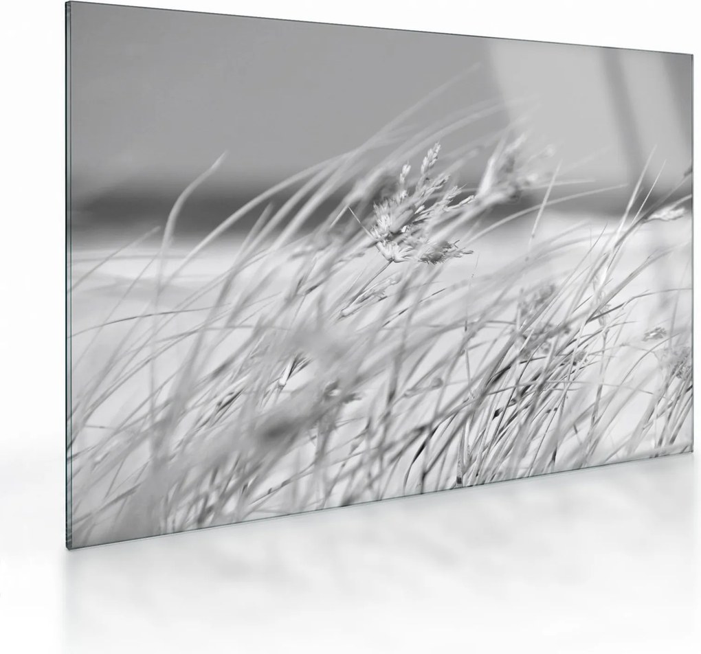Obraz na szkle - Trawa plażowa (70x50 cm)