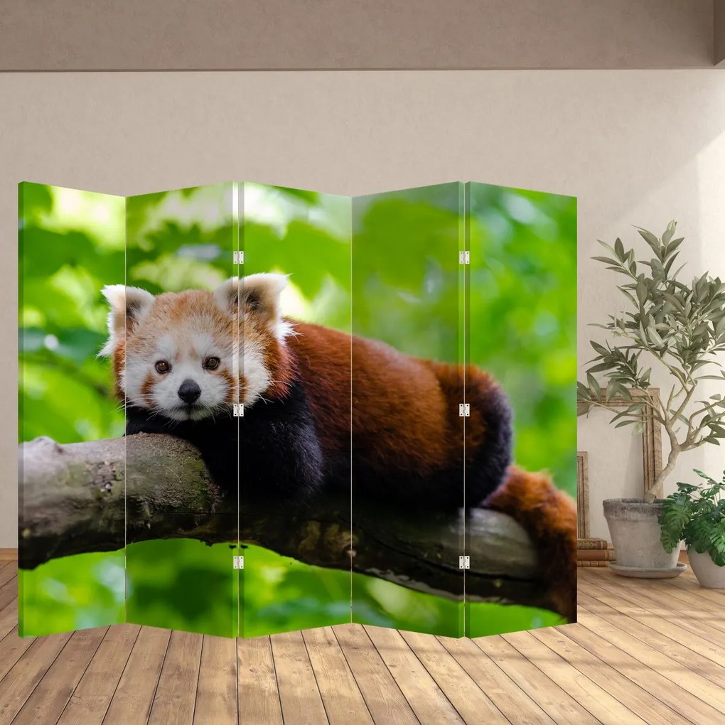 Parawan - Panda czerwona (210x170 cm)