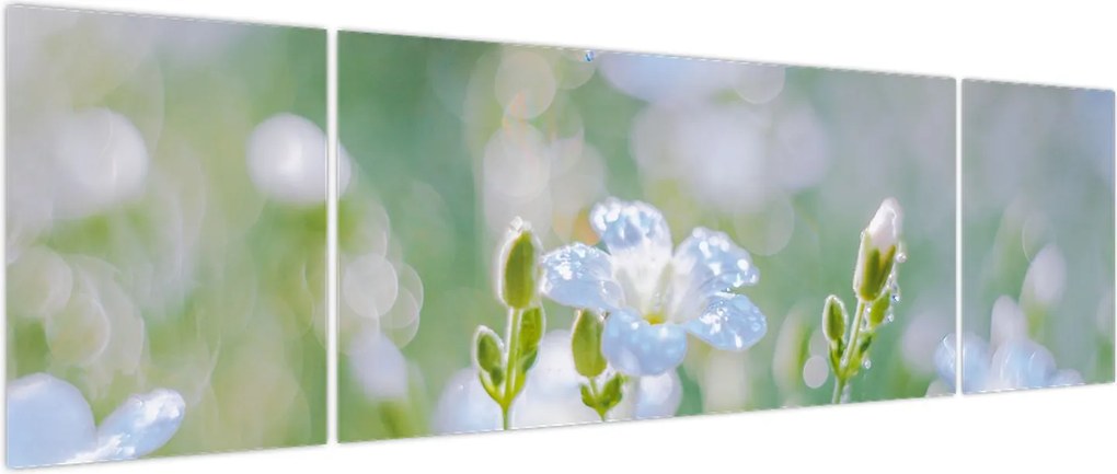 Obraz - Delikatne kwiaty (170x50 cm)