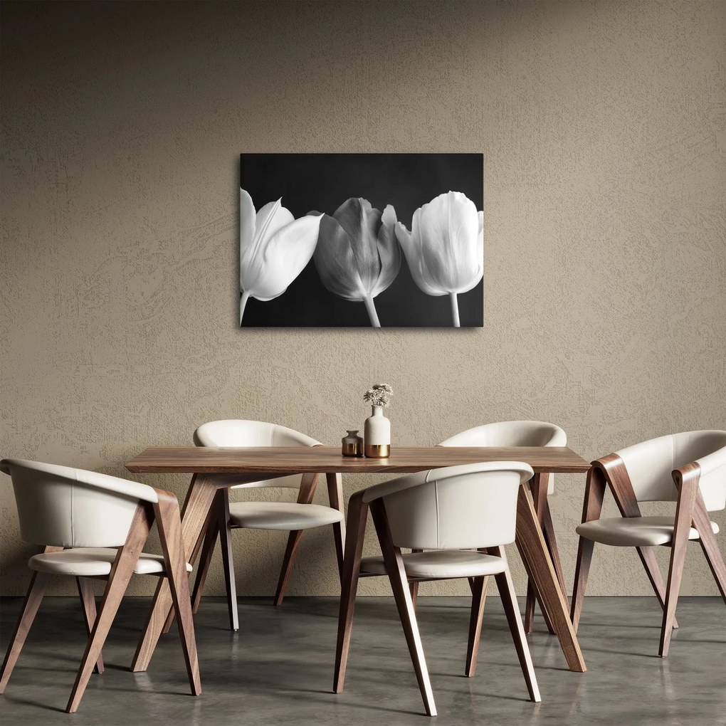 Obraz - Czarno - białe kwiaty tulipanów (70x50 cm)