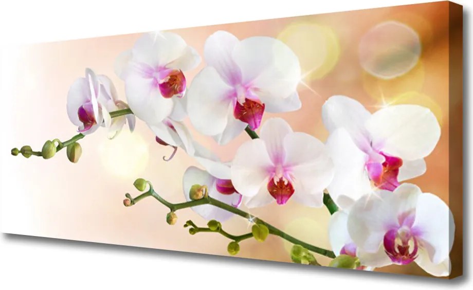 Zdjęcie na płótnie Malowniczy Ogród Kwiatowy