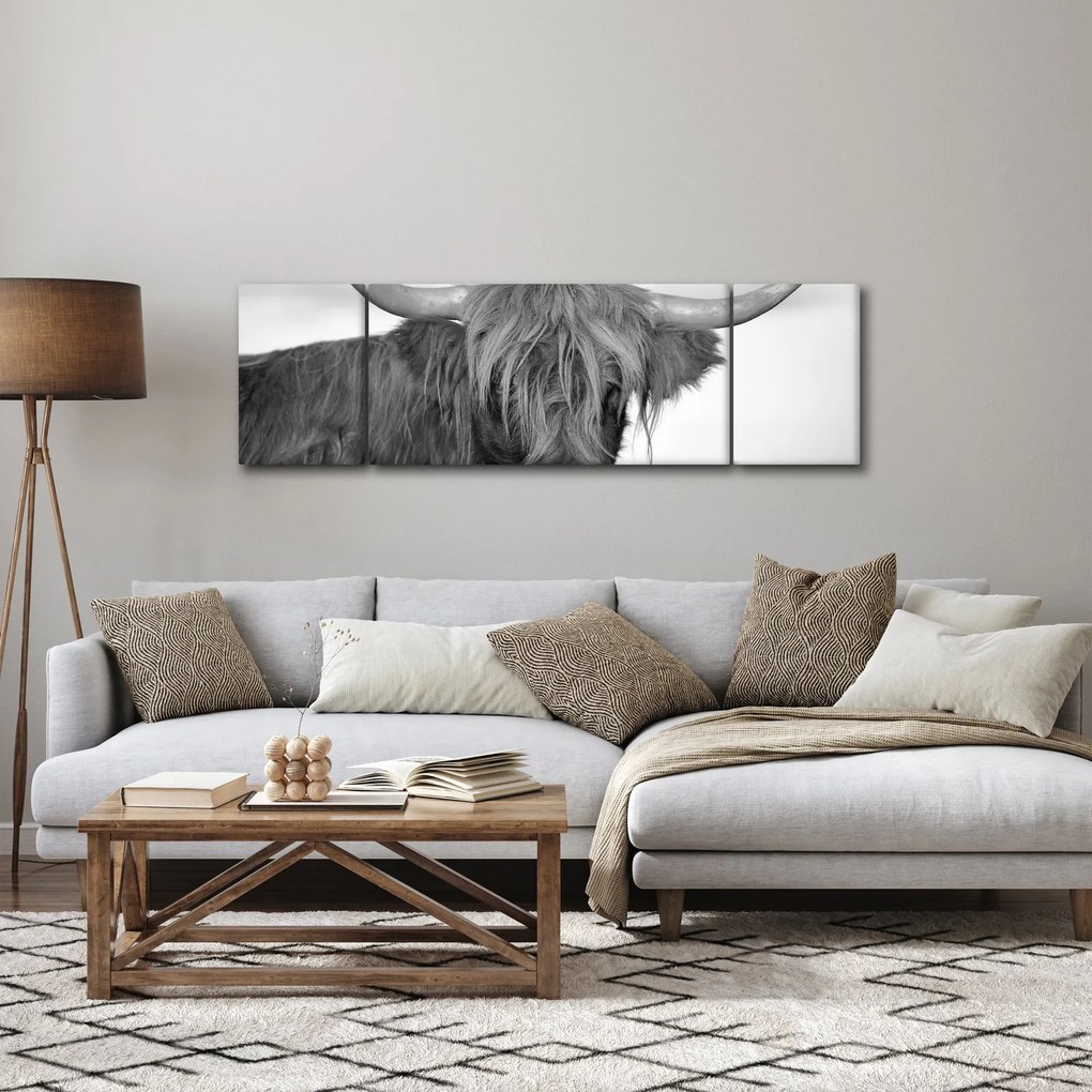 Obraz - Szkocka krowa 2, czarno - biały (170x50 cm)