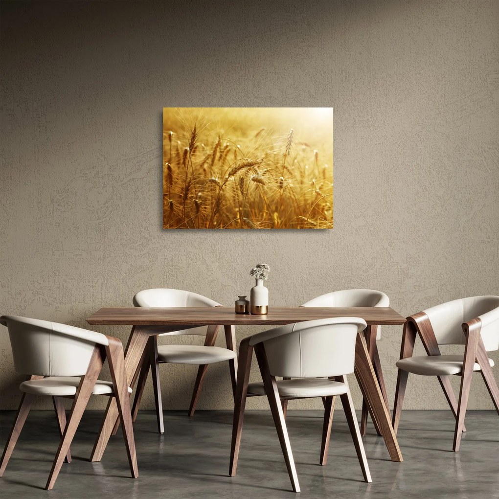 Obraz na szkle - Kłosy zboża (70x50 cm)