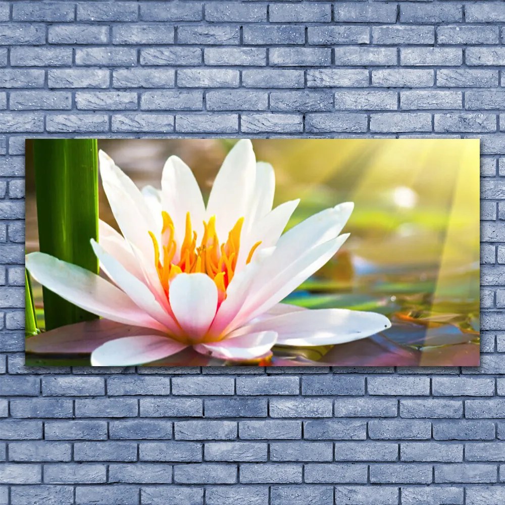 Obraz na płótnie Pełnia Letniego Rozkwitu