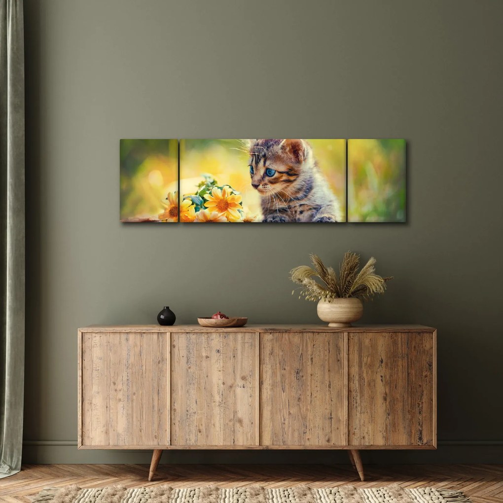 Obraz kotka patrzącego na kwiat (170x50 cm)