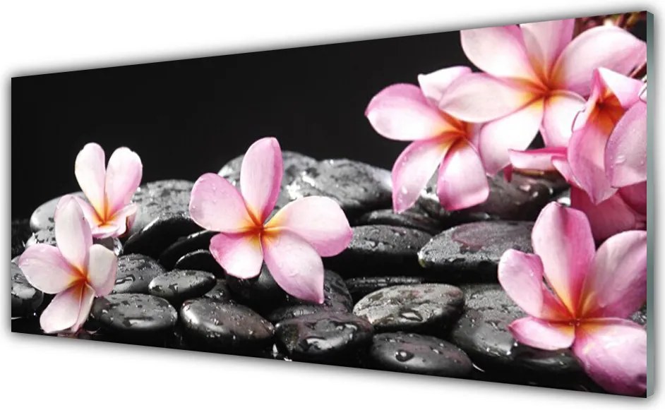 Szkło do Kuchni na Ścianę Egzotyczny Kwiat Plumerii