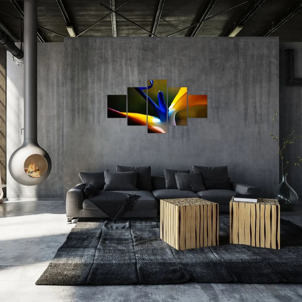 Obraz - Egzotyczny kwiat (125x70 cm)