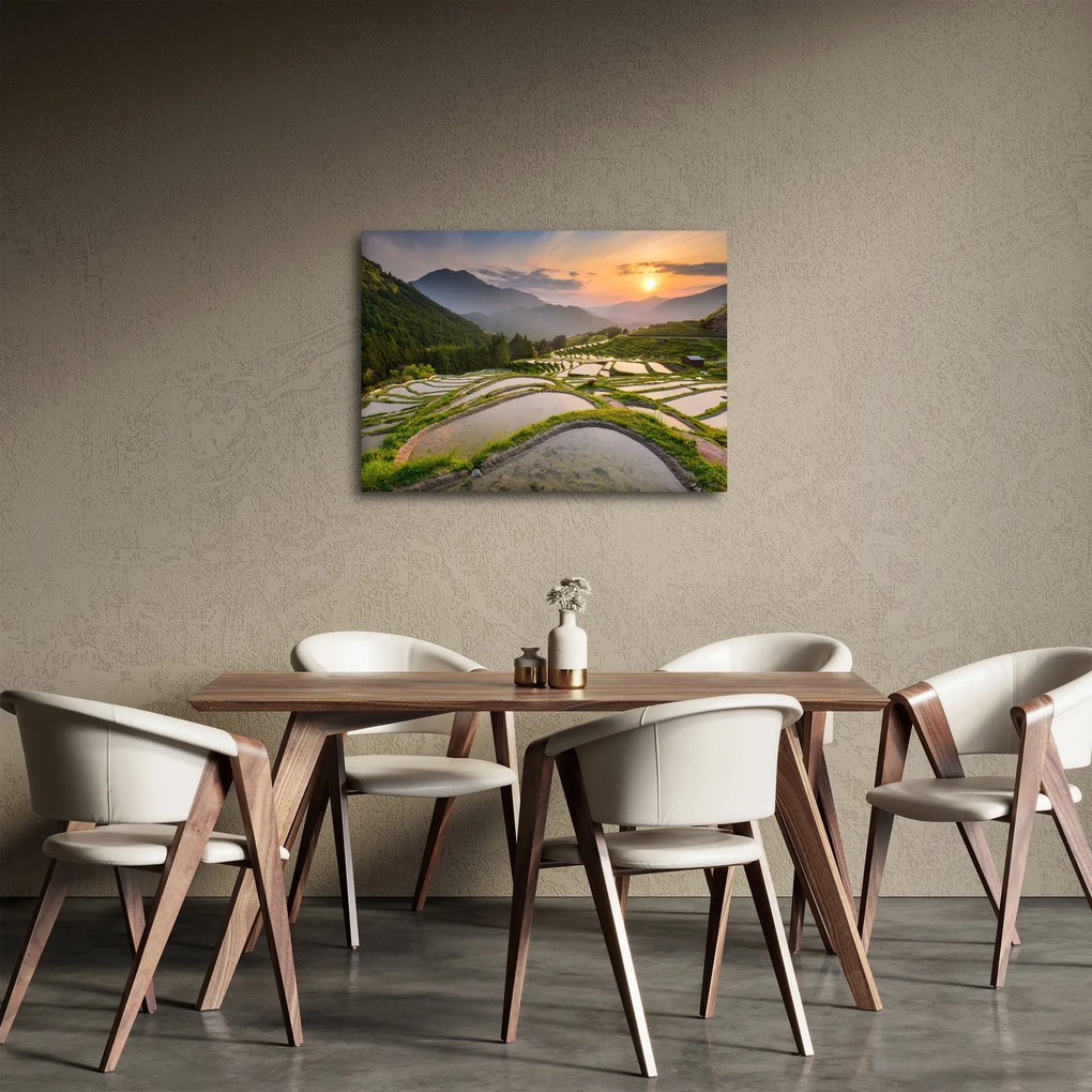 Obraz - Tarasy ryżowe (70x50 cm)