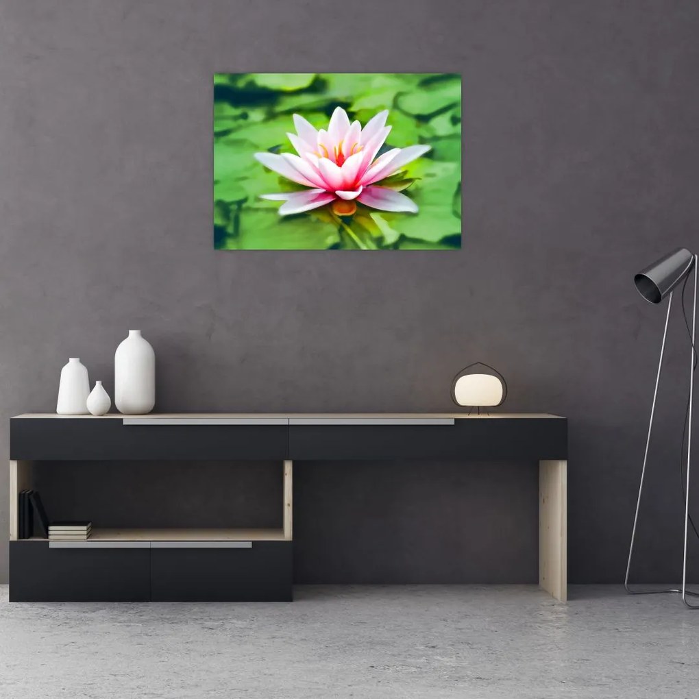 Obraz na szkle lilii wodnej na powierzchni (70x50 cm)