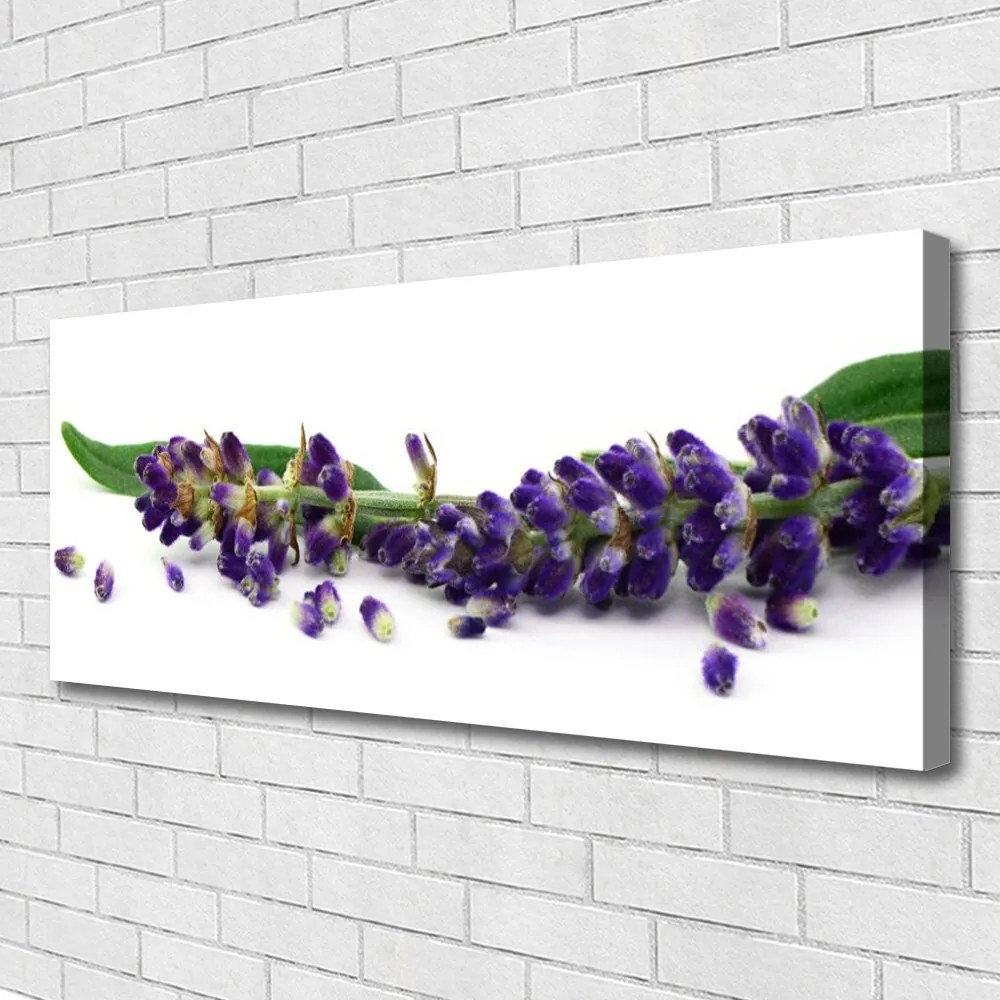 Obraz canvas Rustykalny Bukiet Lawendy