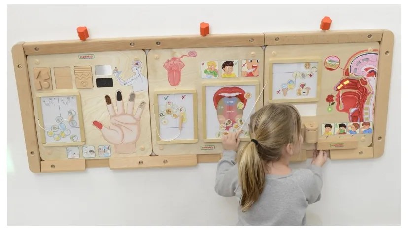 Masterkidz tablica edukacyjna zmysł smaku montessori