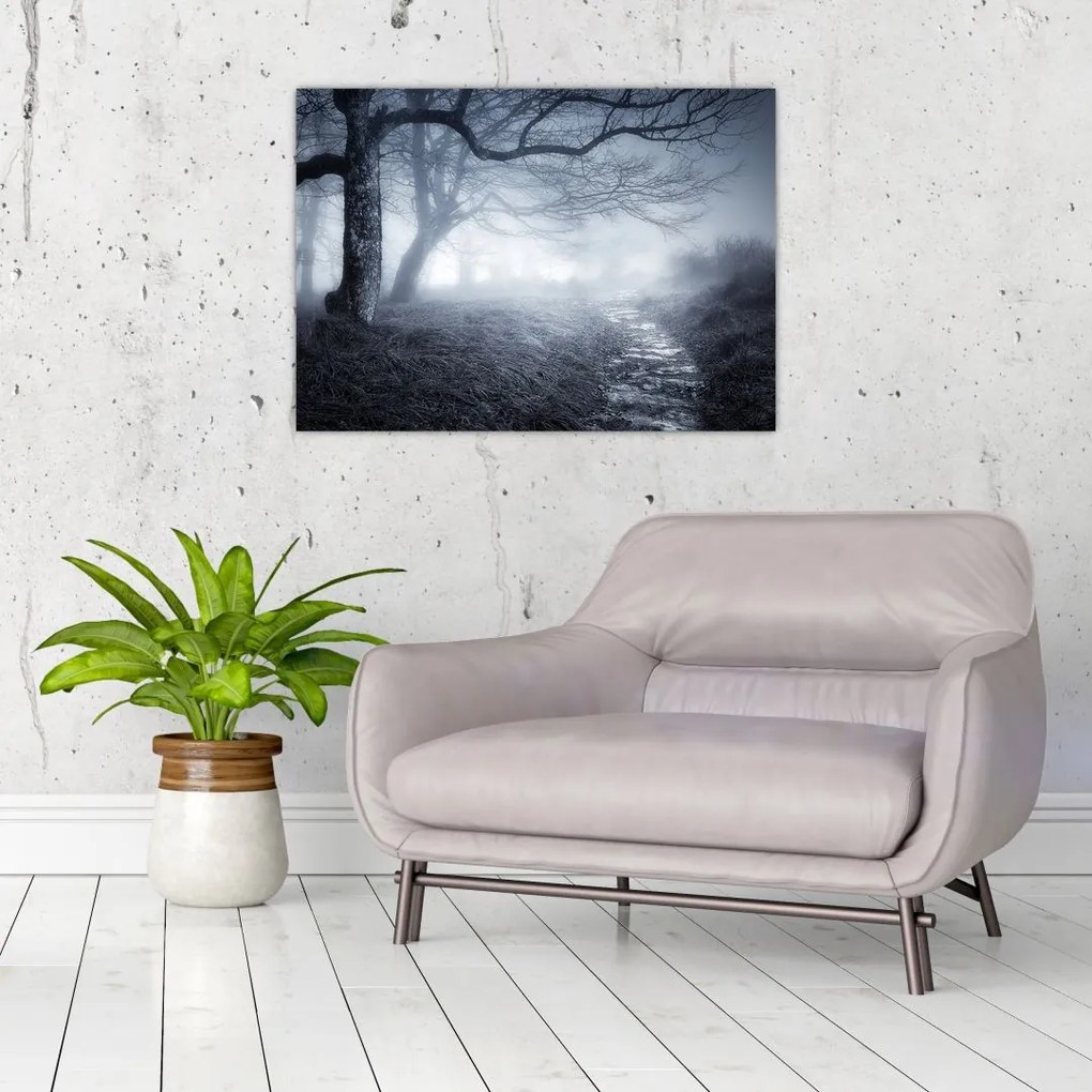 Obraz- Droga we mgle (70x50 cm)