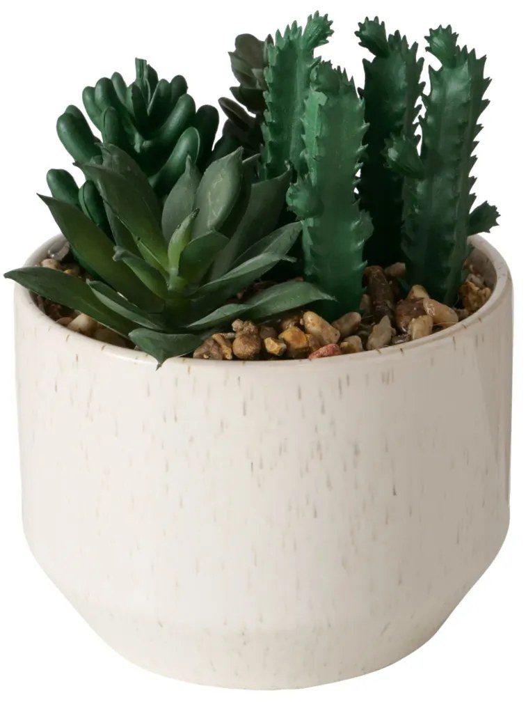 Sztuczna roślinka SUCCULENT, 12 cm