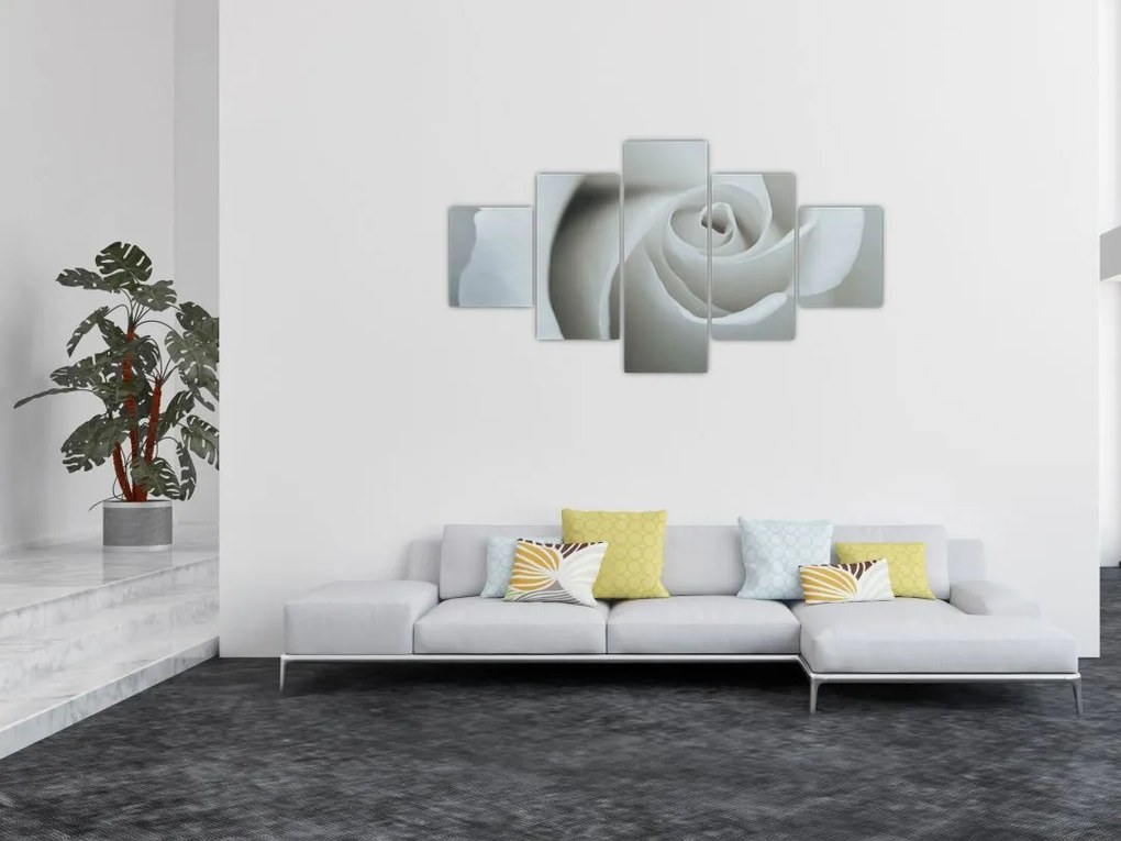 Obraz - Biała róża (125x70 cm)