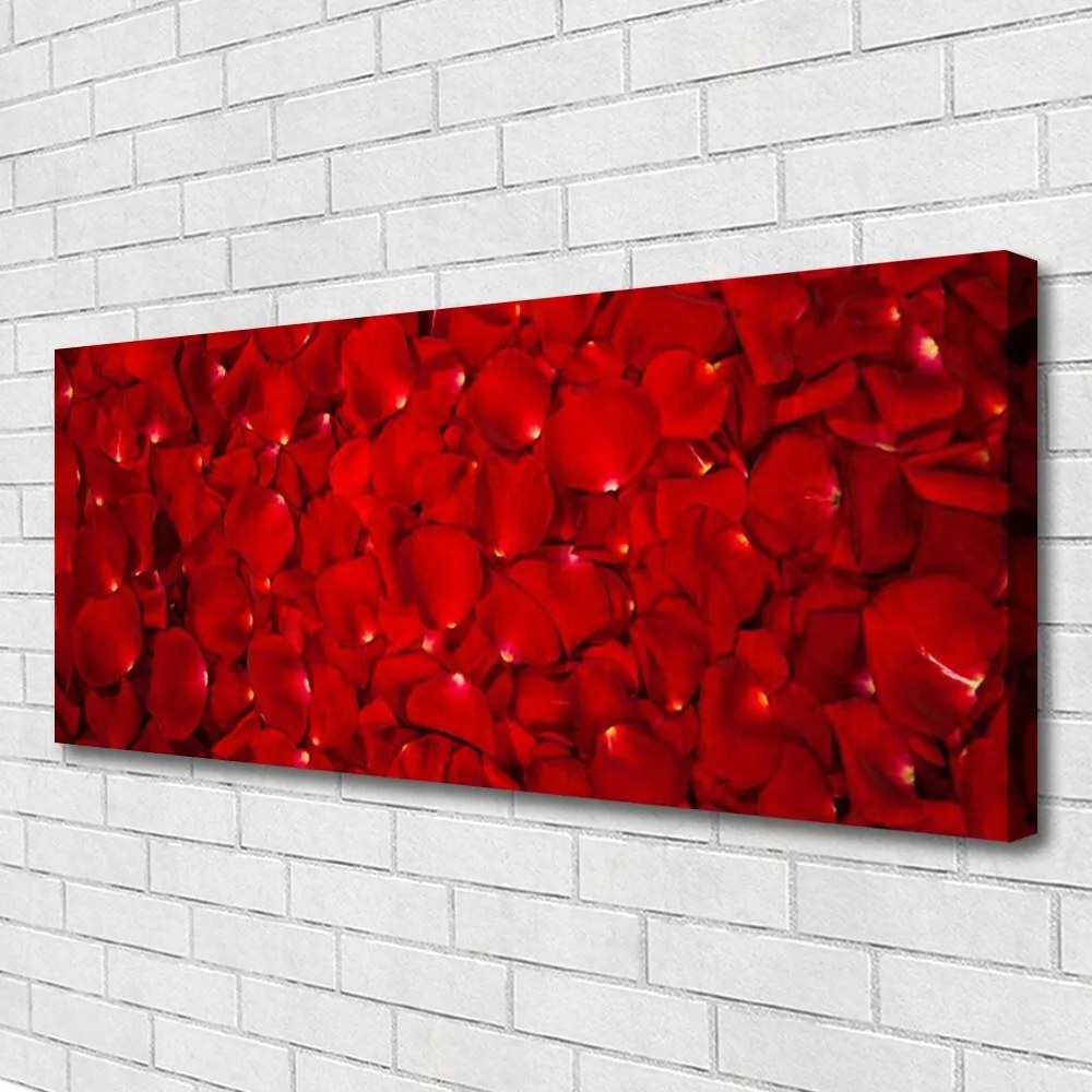 Obraz canvas Delikatne Płatki w Zbliżeniu