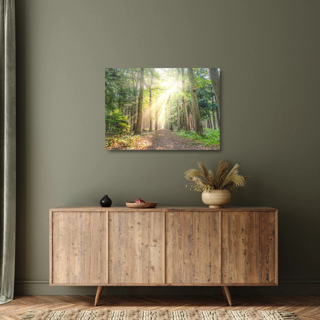 Obraz na szkle ścieżki w lesie (70x50 cm)
