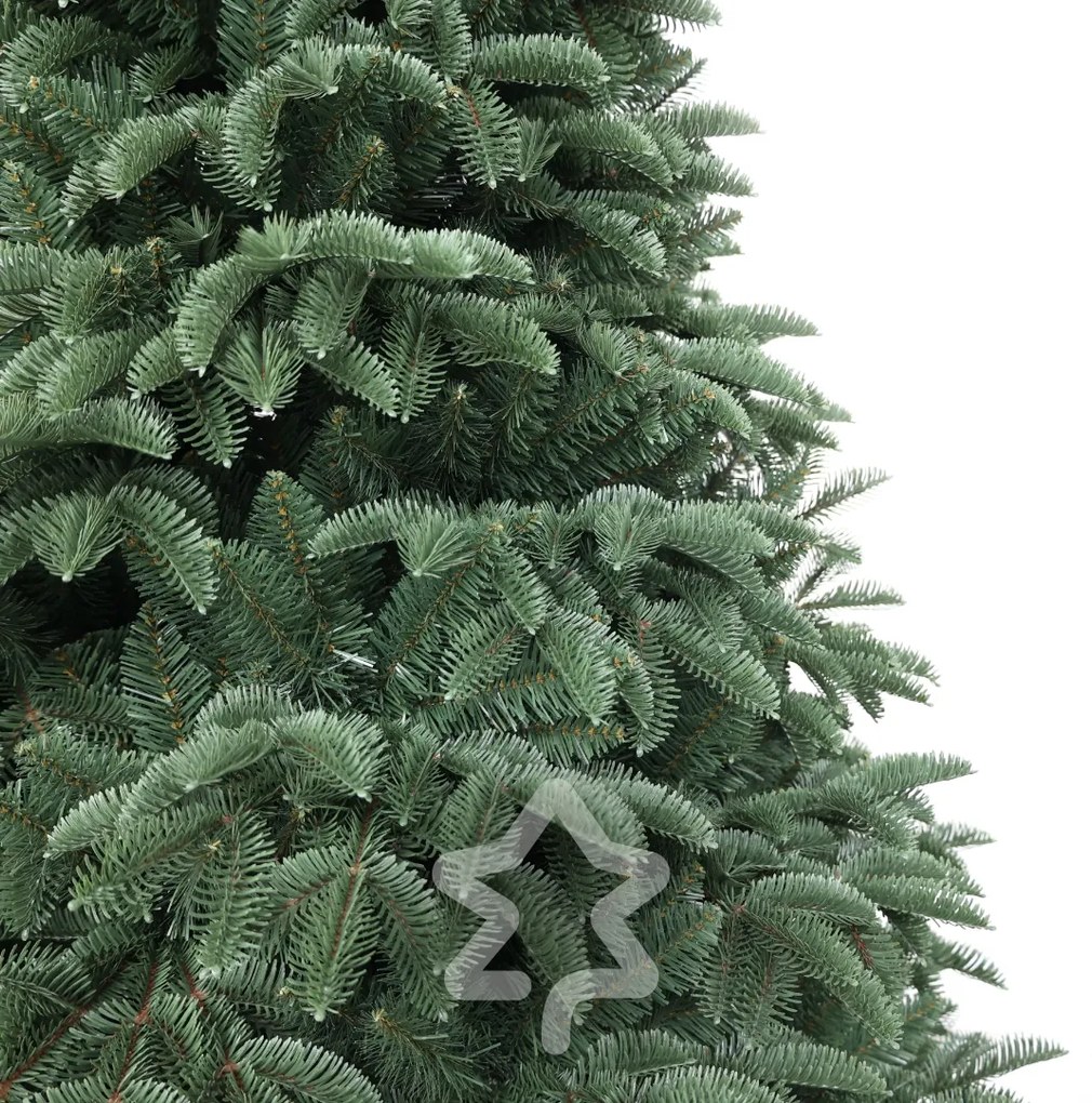 Świerk Oregon ekstra gęsty 240 cm