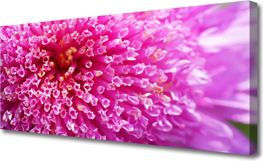 Obraz na płótnie Botaniczna Dekoracja Ścienna