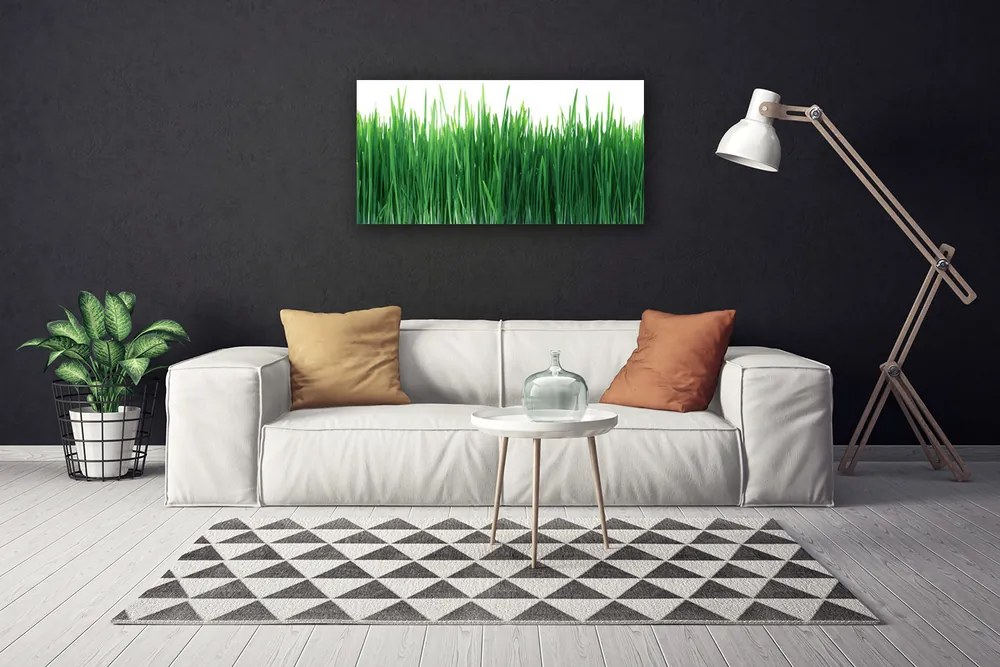 Obraz Canvas Trawa Przyroda Roślina