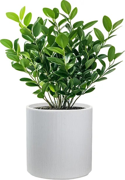 Okrągły, cylindryczny wazon z żywicy do roślin doniczkowych i ogrodowych, 36x35 cm, wzór Modigliani White