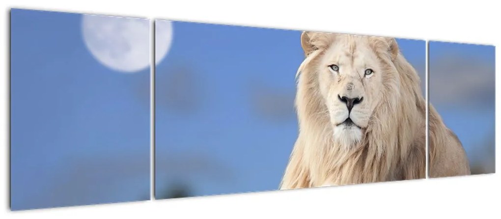 Obraz - Biały lew (170x50 cm)