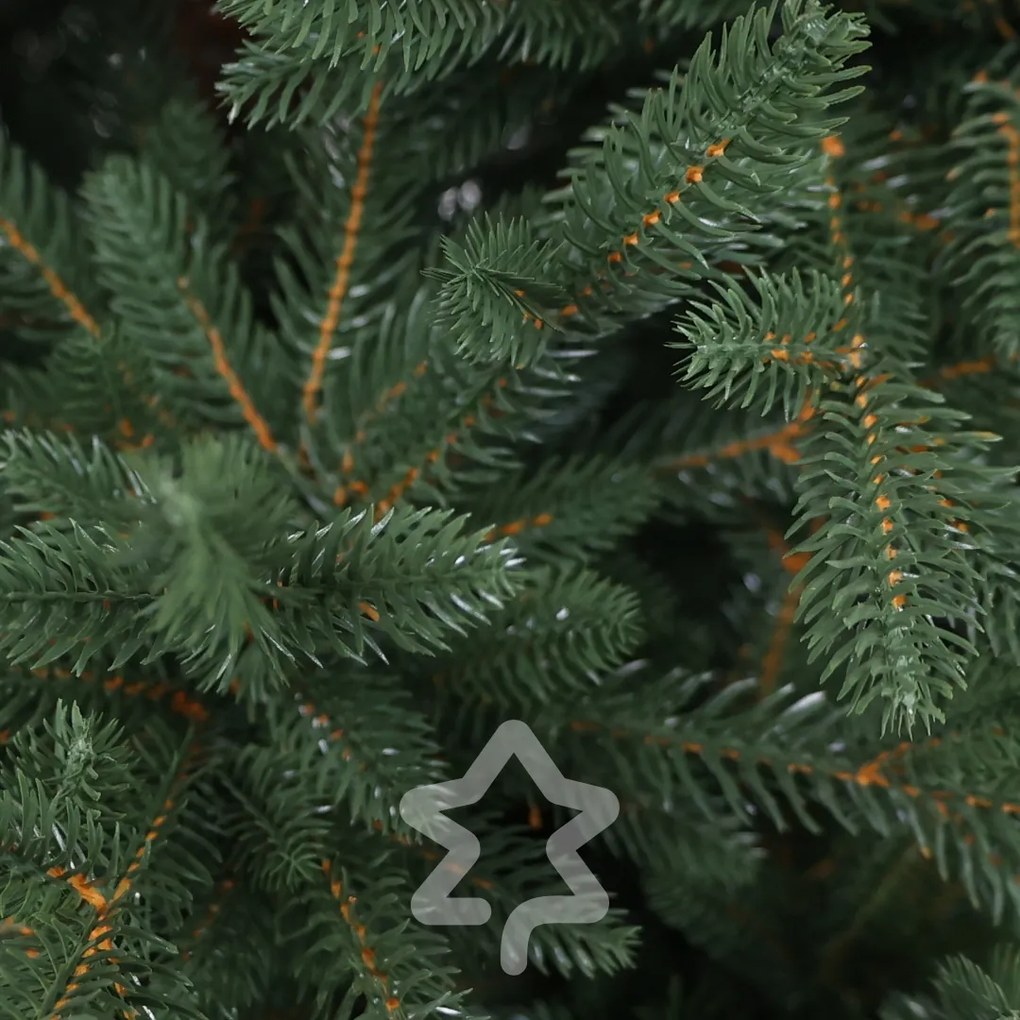 Świerk kanadyjski 100% 150 cm