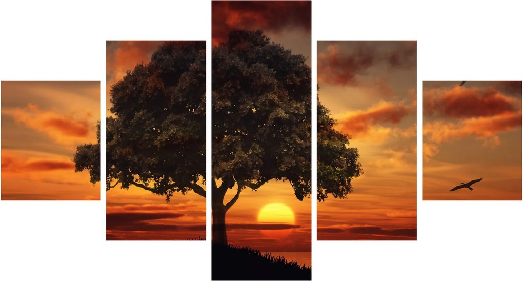 Obraz drzewa o zachodzie słońca (125x70 cm)