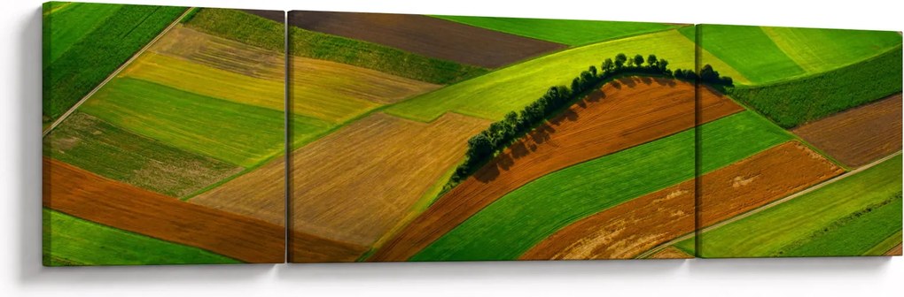 Obraz - Pola, łąki (170x50 cm)