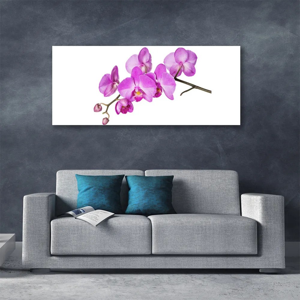 Obraz Canvas Storczyk Orchidea Kwiaty