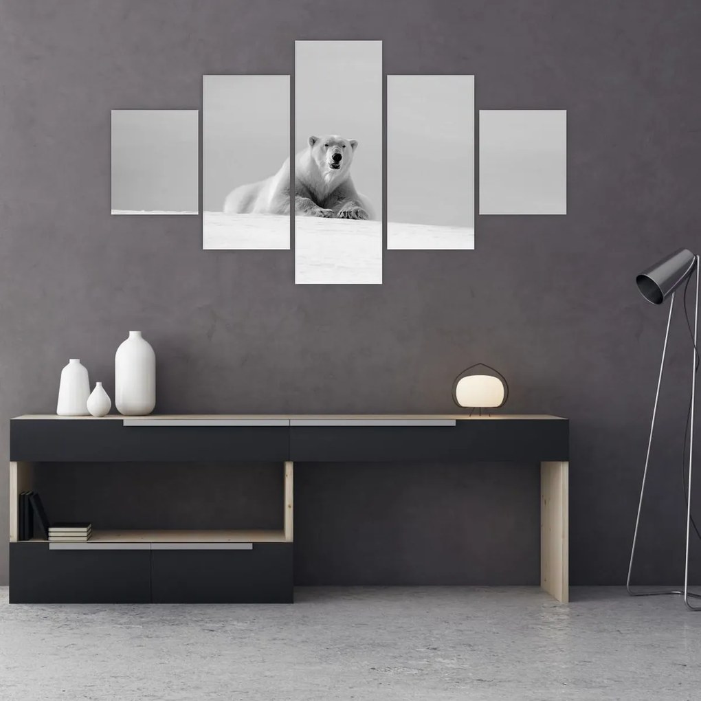 Obraz - Niedźwiedź polarny (125x70 cm)