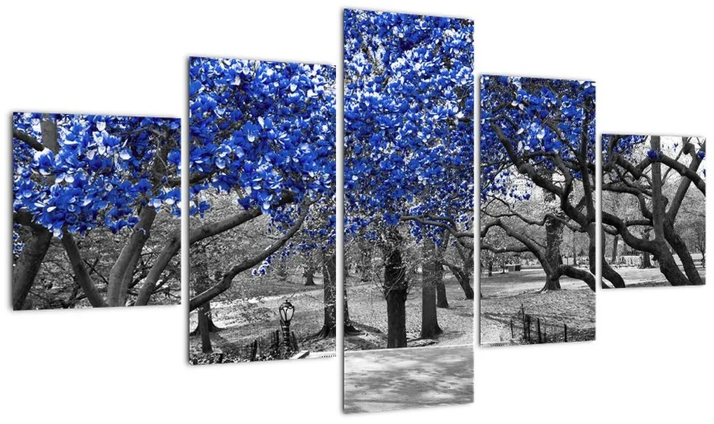 Obraz - Niebieskie drzewa, Central Park, New York (125x70 cm)