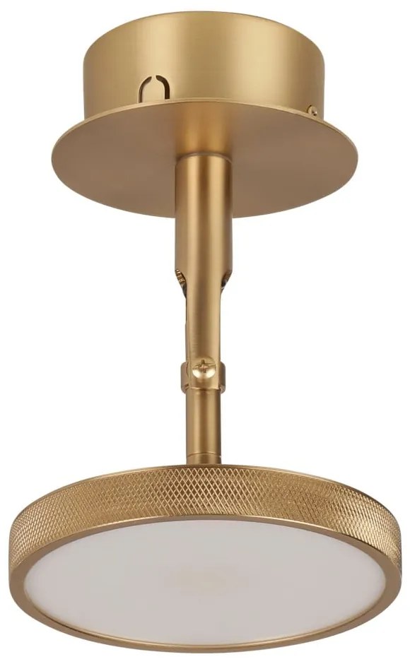 Lampa punktowa LED w kolorze złota ø 12 cm Asteria Spot – UMAGE