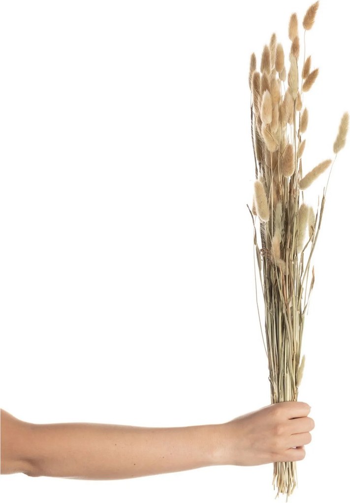 Bukiet Dmuszka 60cm beige