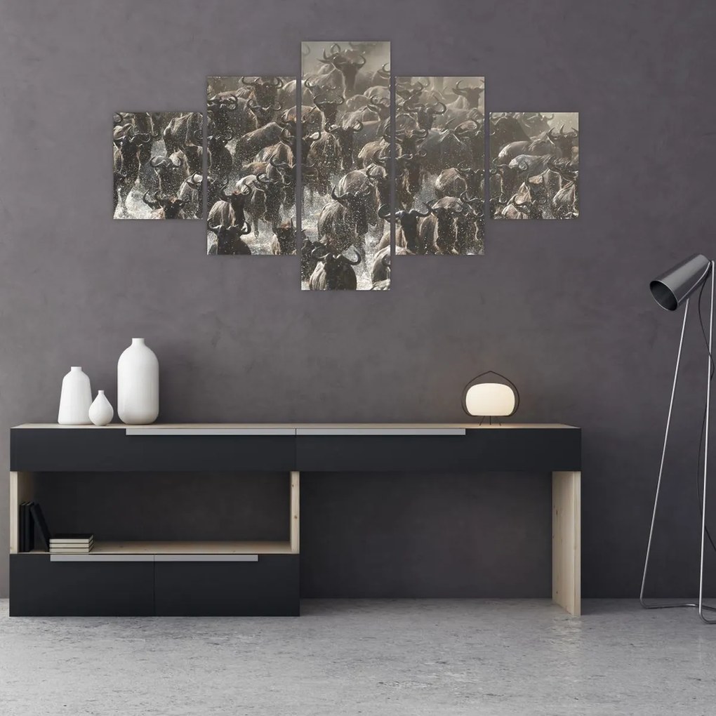 Obraz - Stado antylop gnu (125x70 cm)