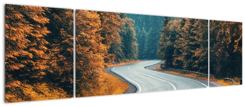 Obraz - Kręta droga (170x50 cm)