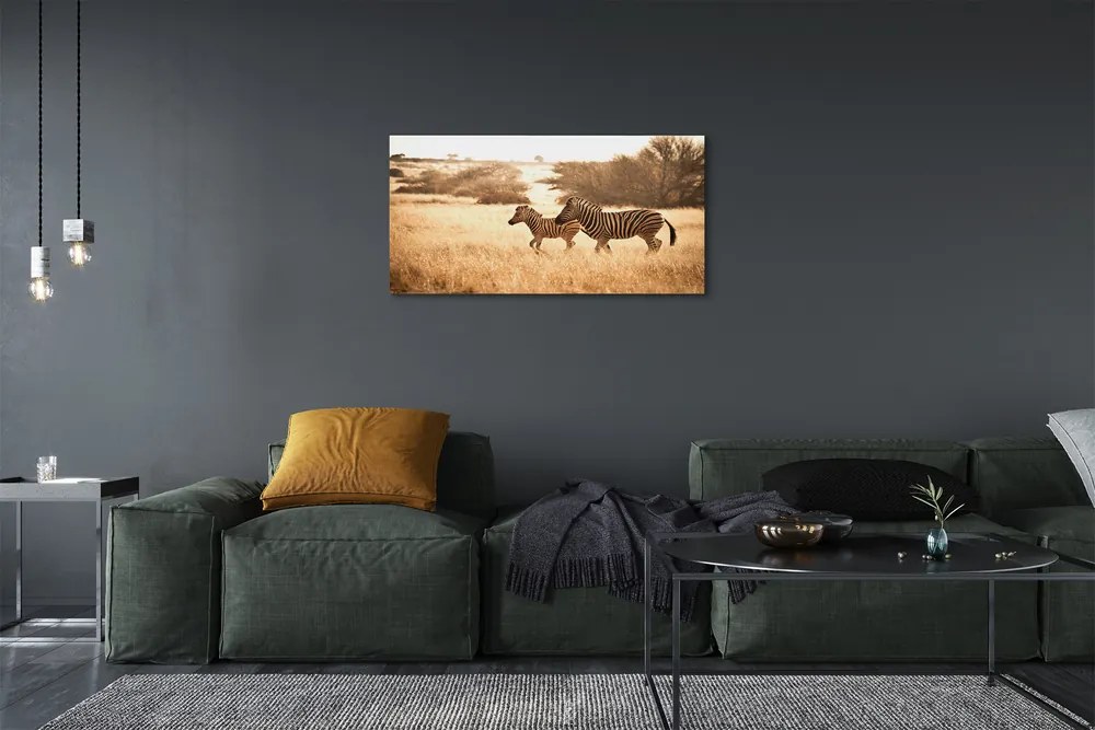 Fotoobraz na płótnie Zebra o Zachodzie Słońca