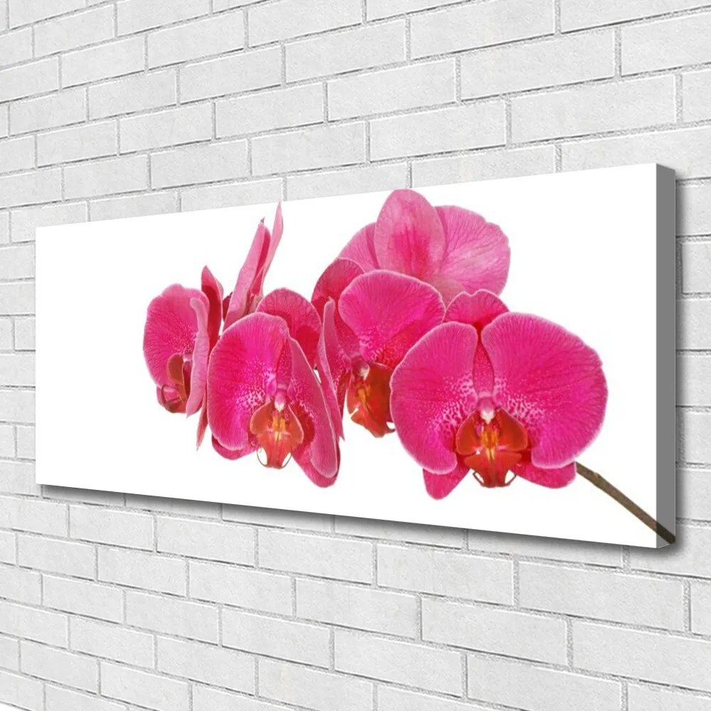 Obraz na płótnie Romantyczna Flora Ogrodowa