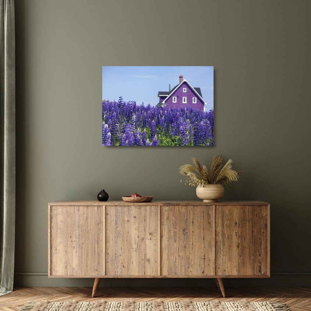 Obraz na szkle - lawendowe pole (70x50 cm)