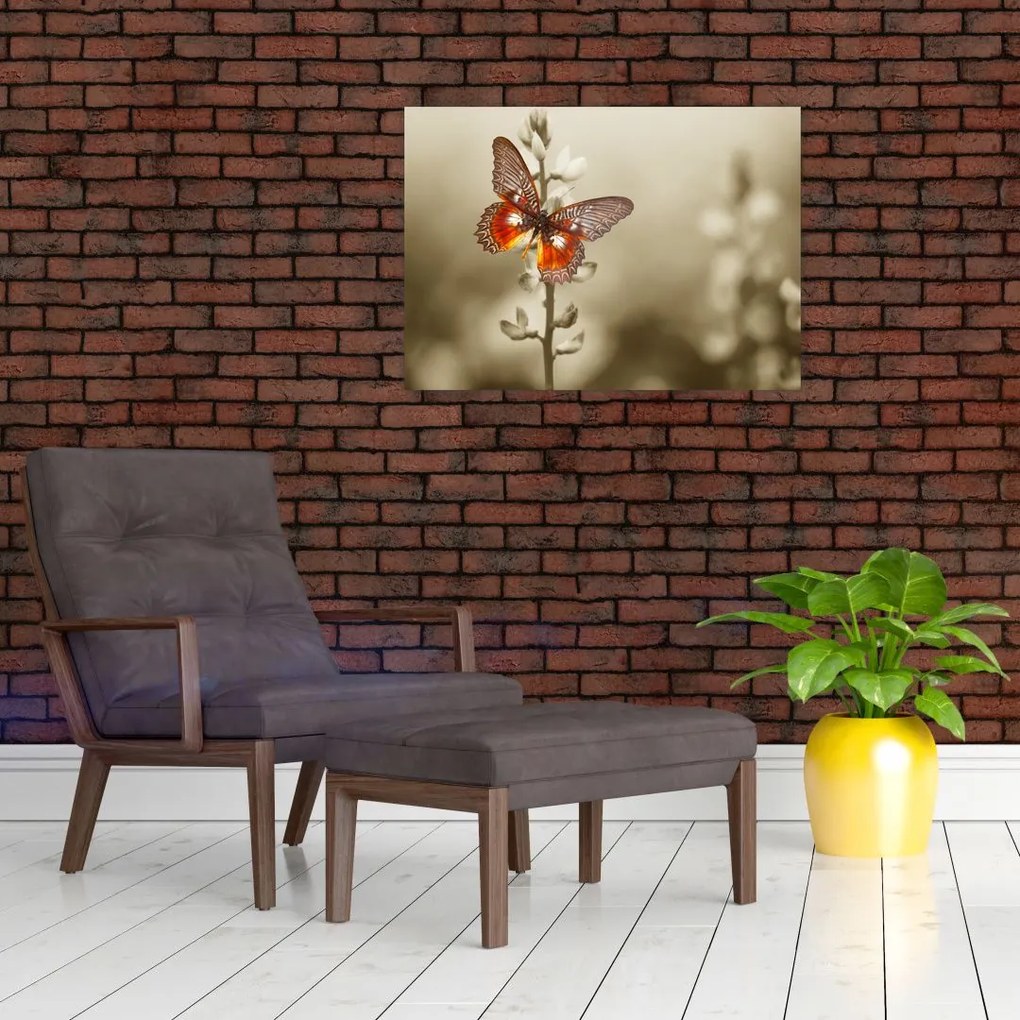 Obraz na szkle motyla (70x50 cm)