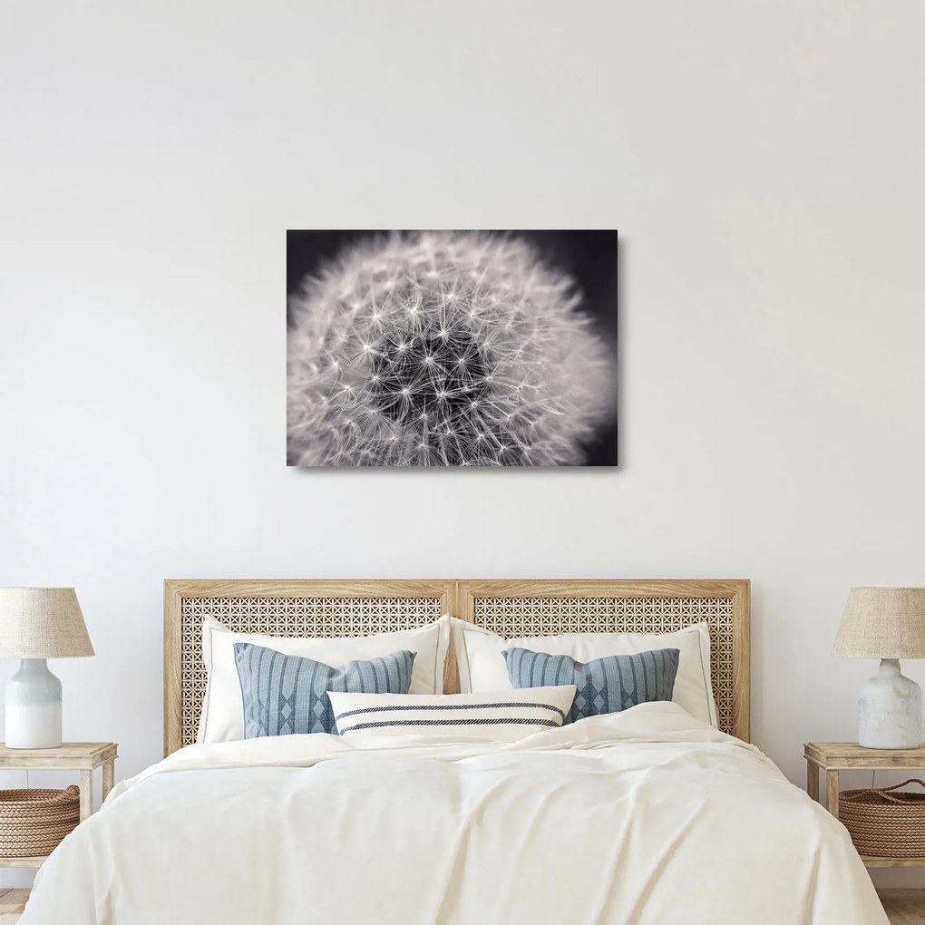 Obraz na szkle dmuchawca (70x50 cm)