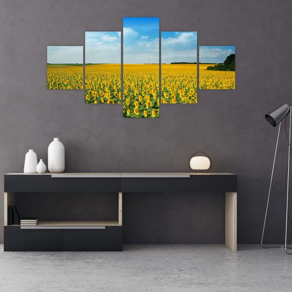 Obraz - ciąg słoneczników (125x70 cm)