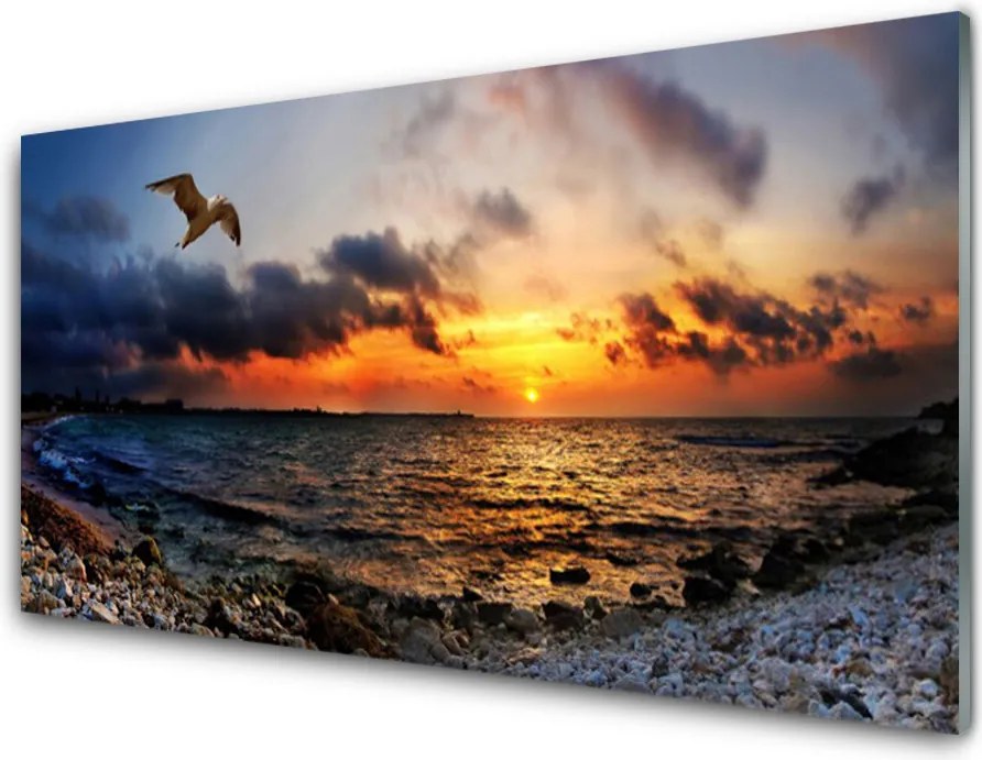 Panel Kuchenny Mewa Nad Brzegiem Oceanu