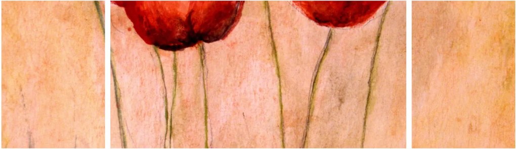 Obraz - Czerwone tulipany (170x50 cm)
